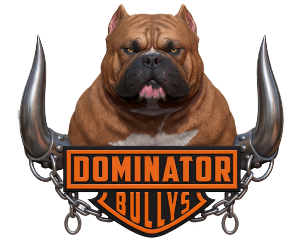 DOMINATOR BULLYS SWAG